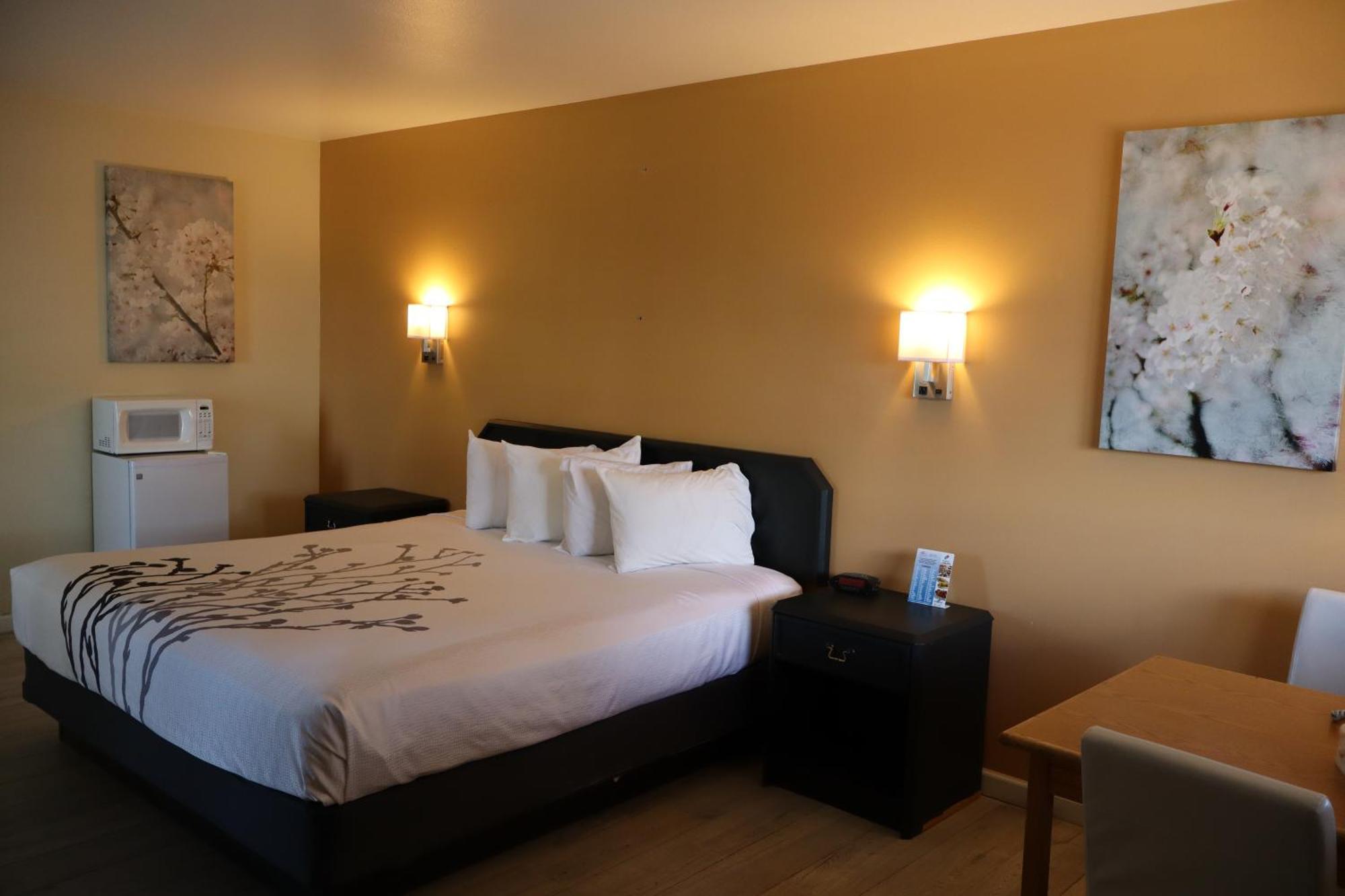 Black Canyon Motel Montrose Dış mekan fotoğraf