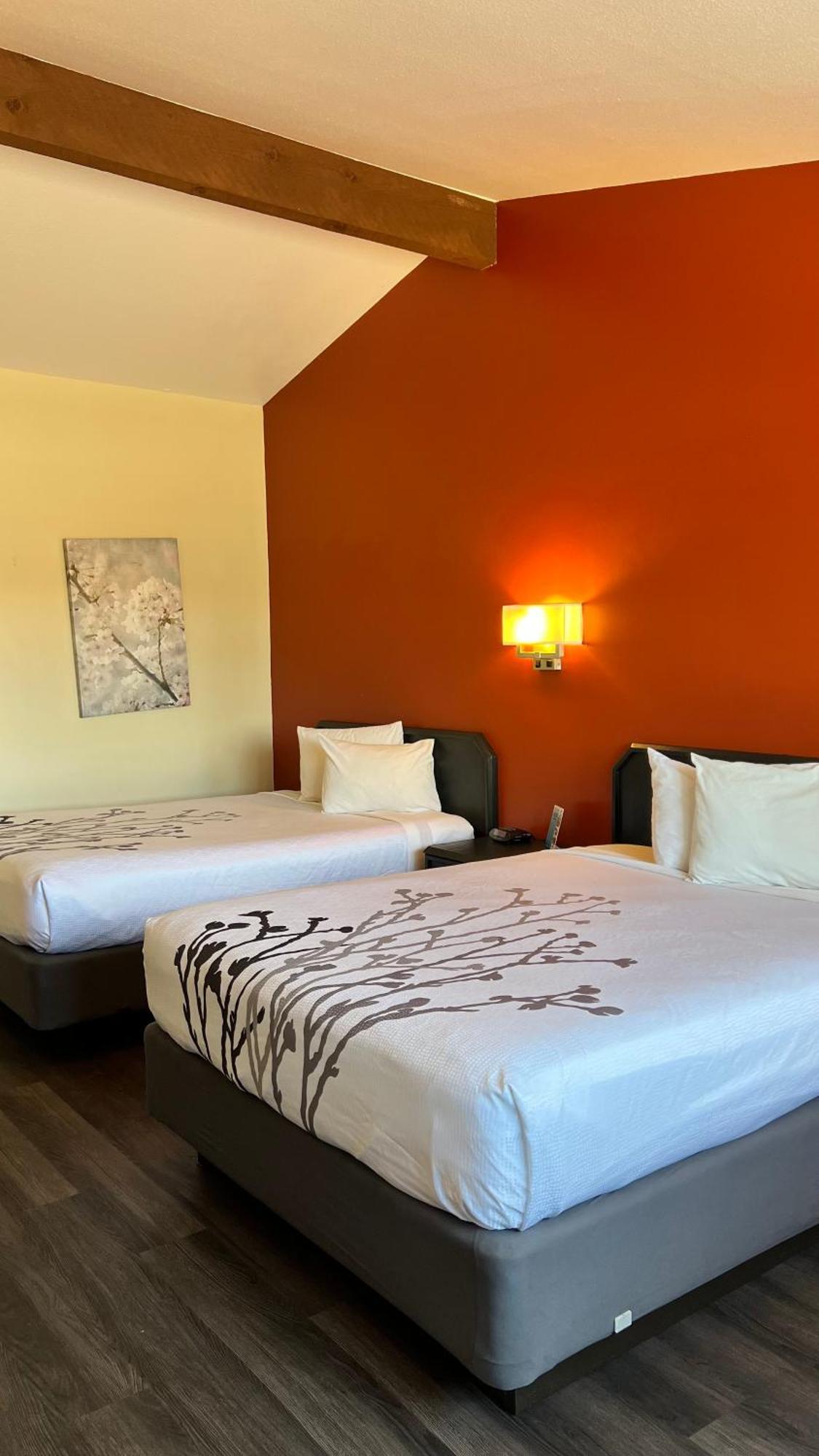 Black Canyon Motel Montrose Dış mekan fotoğraf